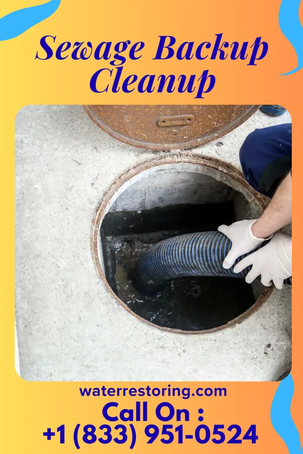 Sewage Backup Cleanup in Kerens, TX